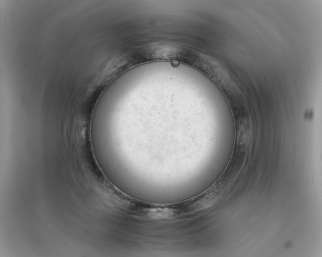 X0000096160363200802011301