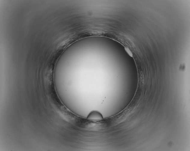 X0000096160364200802011301