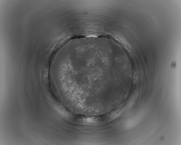 X0000096160365200802011301