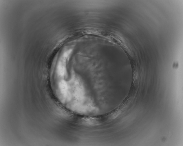 X0000096160367200802011301