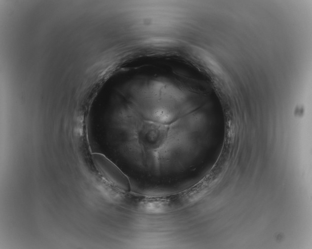 X0000096160368200802011301