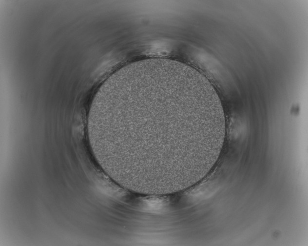 X0000096160370200802011301