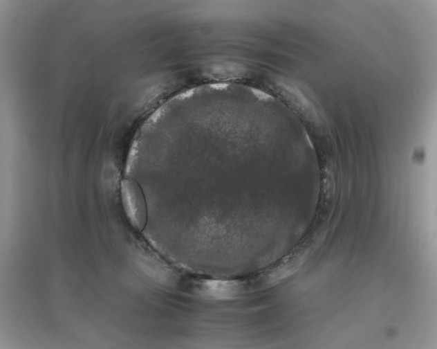 X0000096160371200802011301