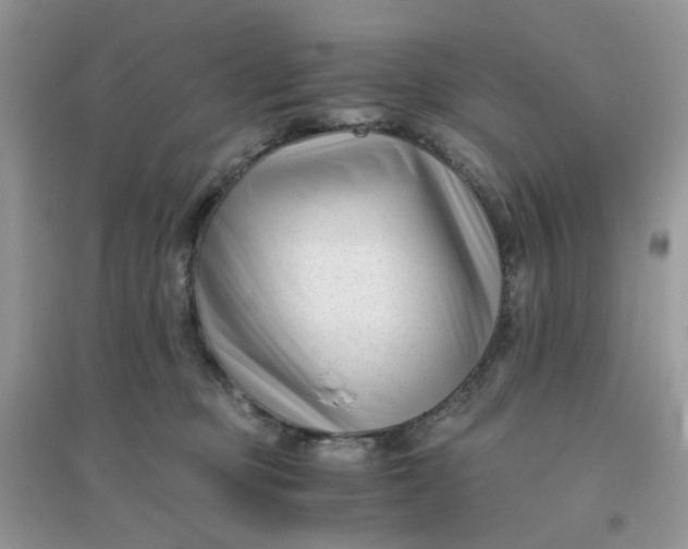 X0000096160373200802011301