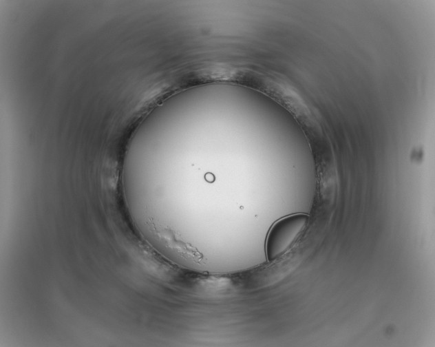 X0000096160374200802011301