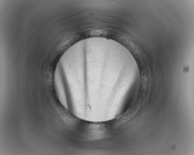 X0000096160375200802011301