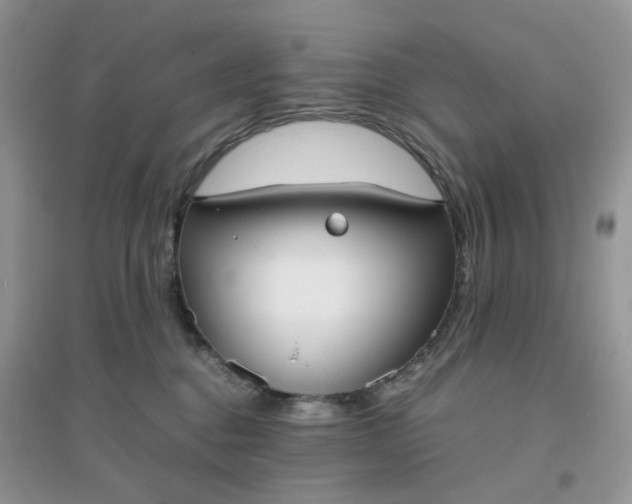 X0000096160376200802011301