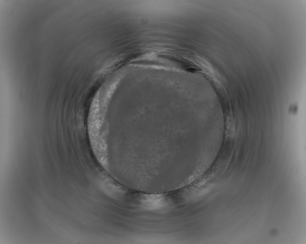 X0000096160377200802011301