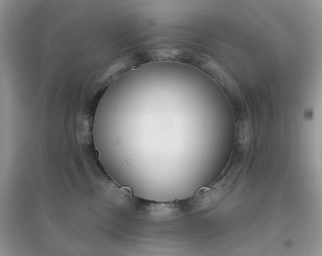 X0000096160378200802011301