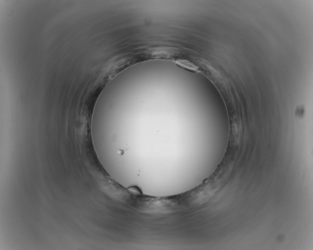 X0000096160379200802011301