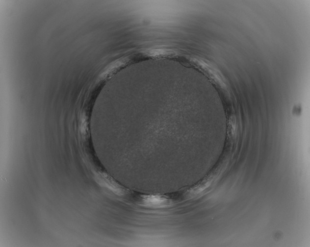 X0000096160380200802011301