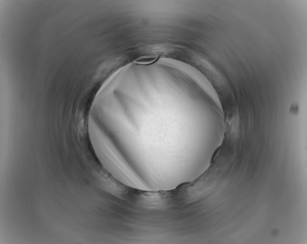 X0000096160381200802011301