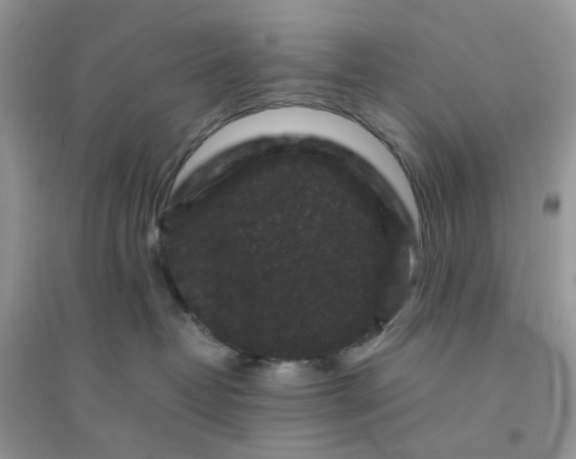 X0000096160382200802011301