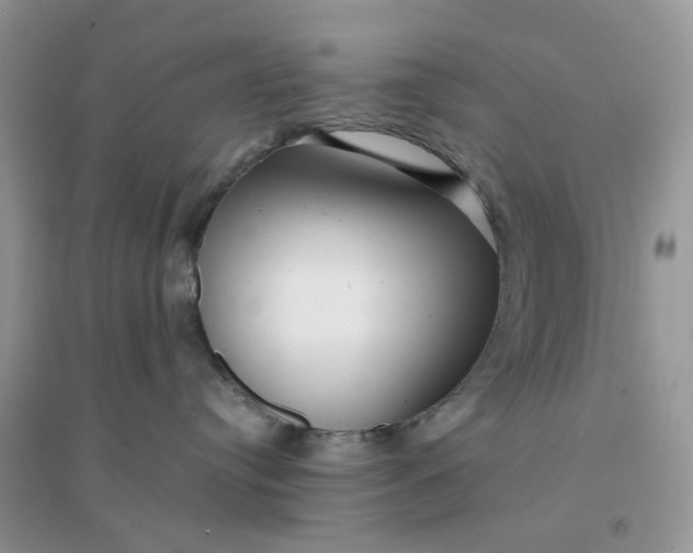 X0000096160384200802011301