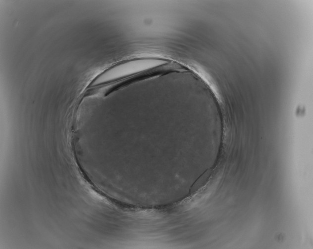 X0000096160385200802011300