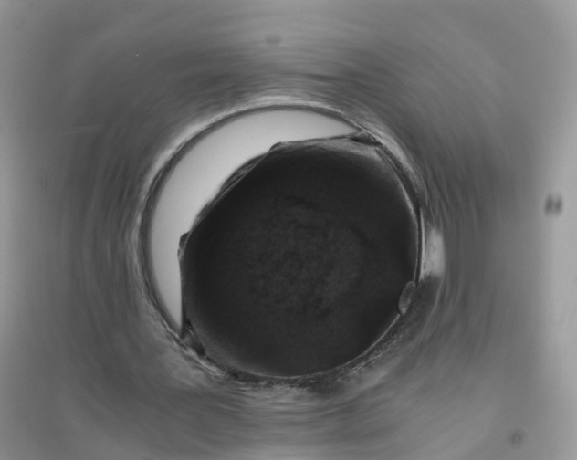 X0000096160387200802011300