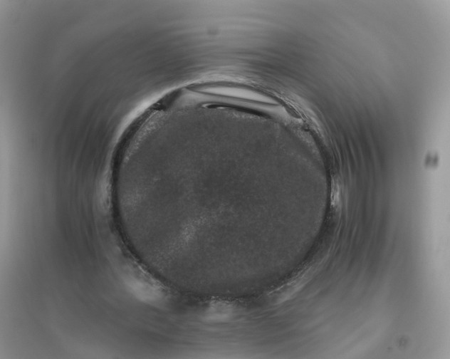 X0000096160388200802011300