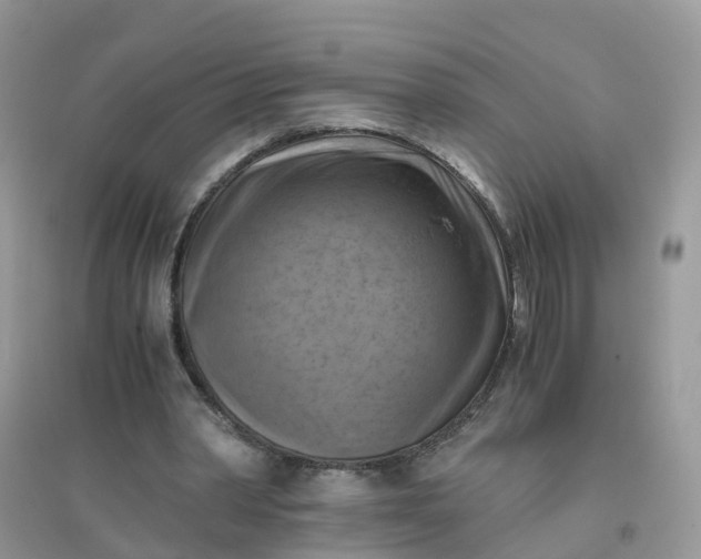 X0000096160390200802011300