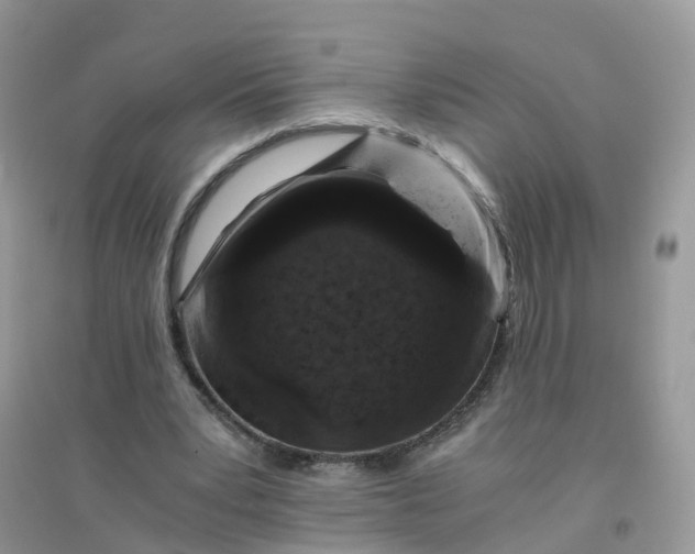 X0000096160391200802011300