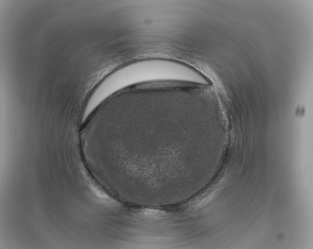 X0000096160393200802011300