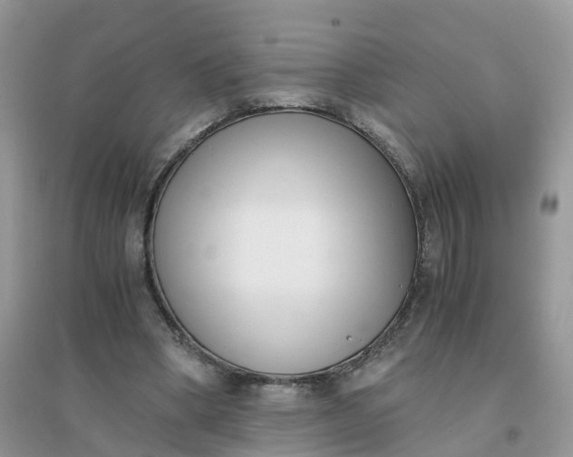 X0000096160394200802011300