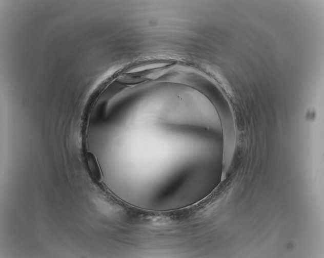 X0000096160395200802011300