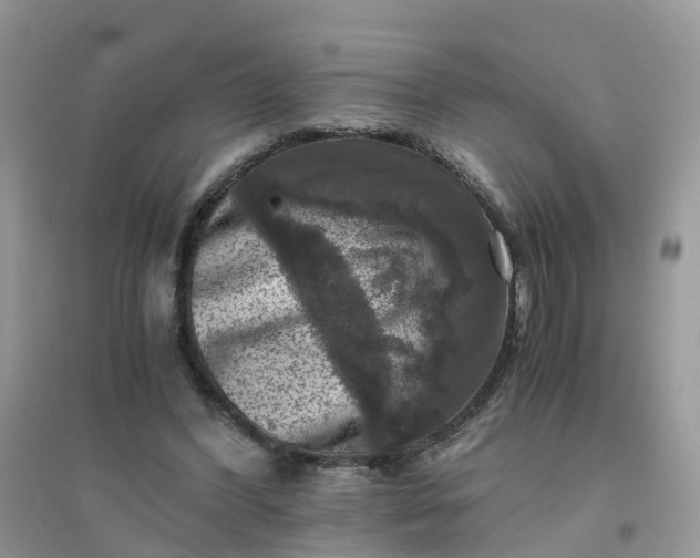 X0000096160396200802011300