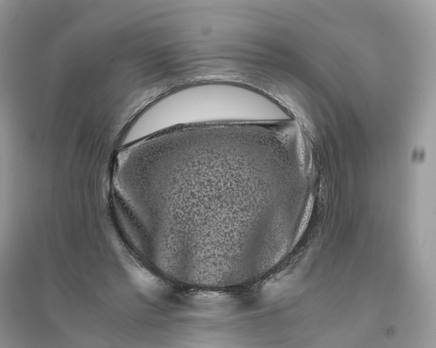 X0000096160397200802011300