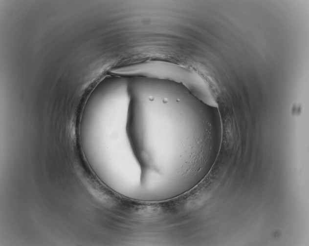 X0000096160398200802011300