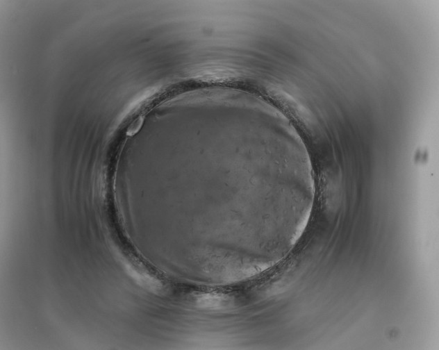 X0000096160400200802011300