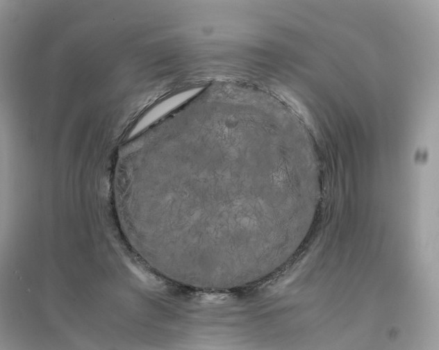 X0000096160401200802011300