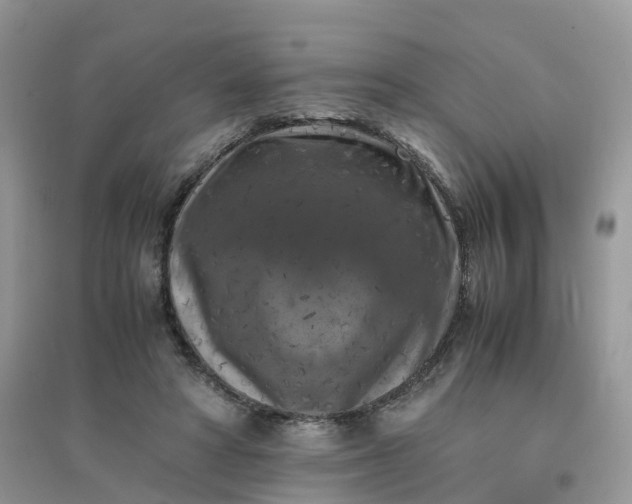 X0000096160402200802011300