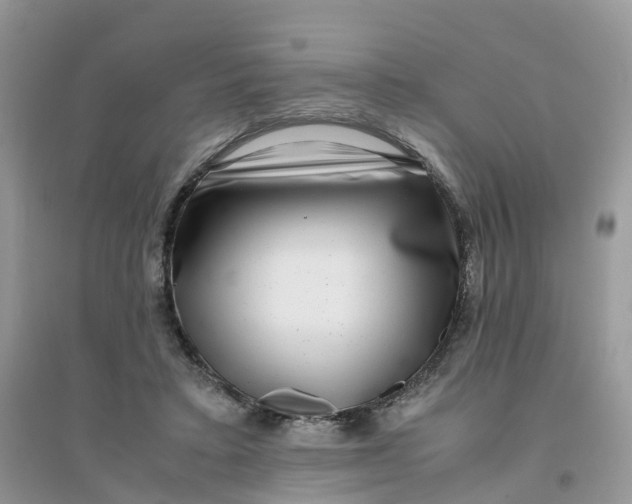 X0000096160403200802011300