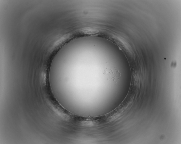 X0000096160404200802011300