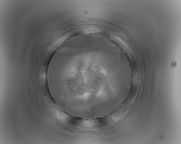 X0000096160405200802011300