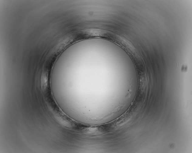 X0000096160406200802011300