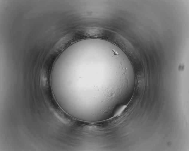 X0000096160408200802011300