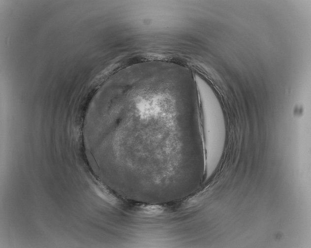 X0000096160409200802011300