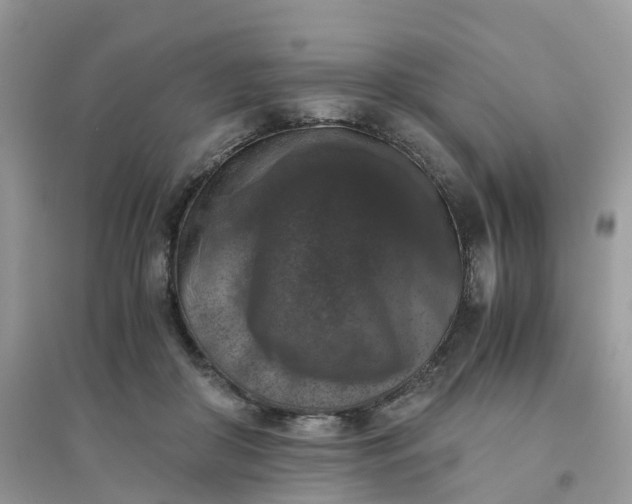 X0000096160410200802011300