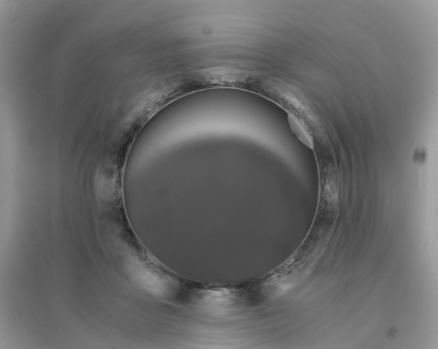 X0000096160411200802011300