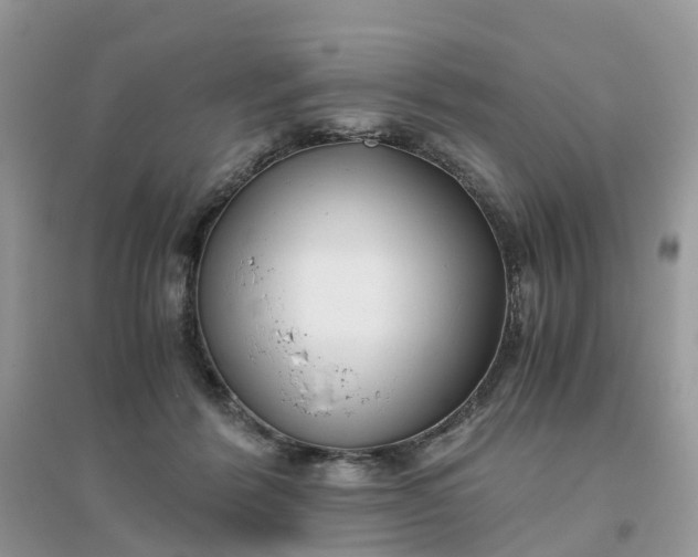 X0000096160412200802011300