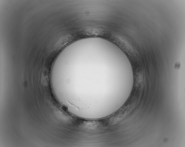 X0000096160414200802011300