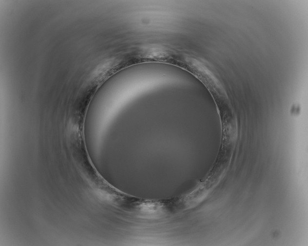 X0000096160415200802011300