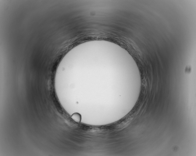 X0000096160416200802011300