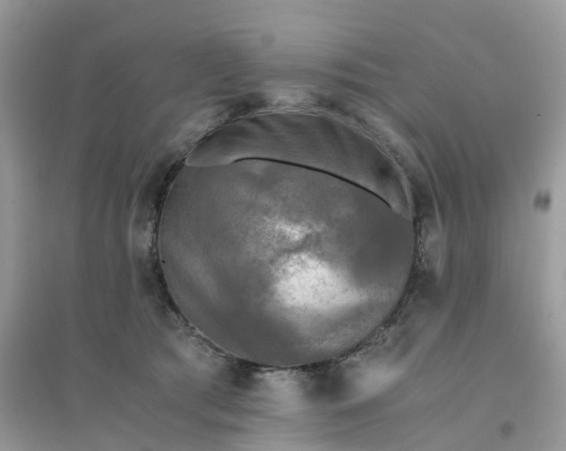 X0000096160417200802011300