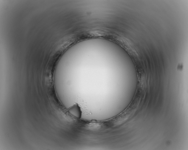 X0000096160418200802011300