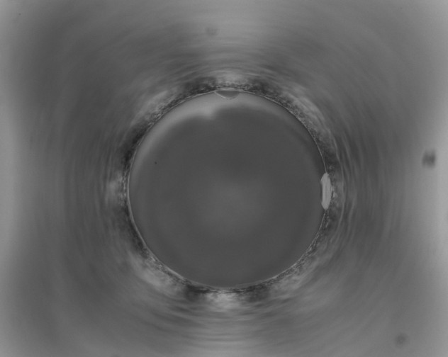 X0000096160419200802011300