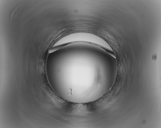 X0000096160421200802011300