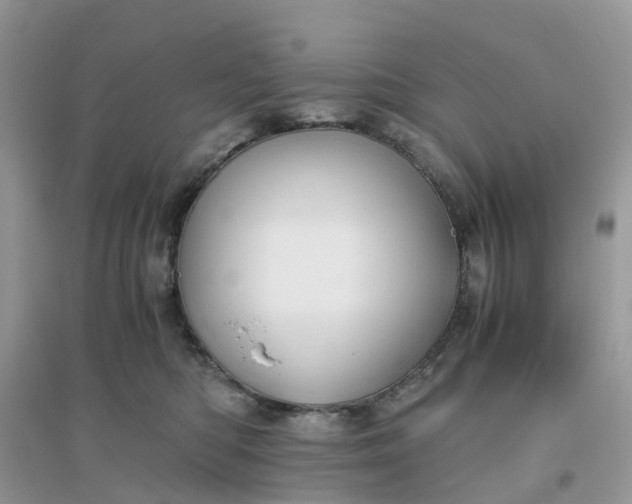 X0000096160422200802011300