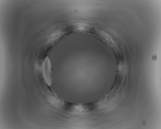 X0000096160423200802011300